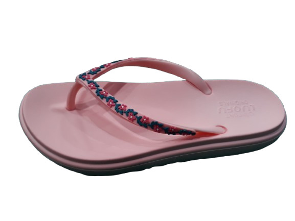 ROS-FLO